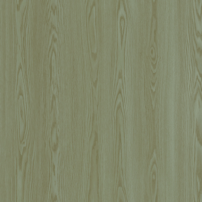HPL-60508