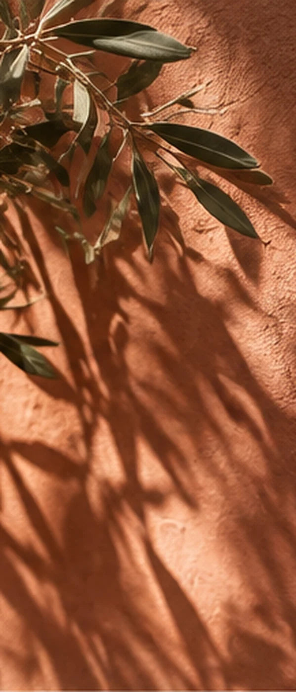 Olive branches casting shadows on a terracotta wall